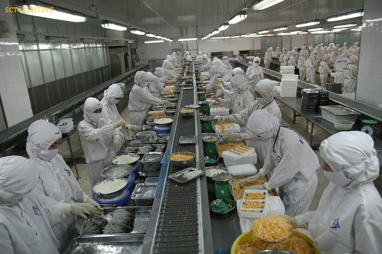 Bo-den-led-chong-am-DCC.jpg