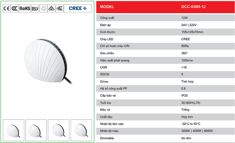 Den-hat-vien-DCC-03WI-12.png